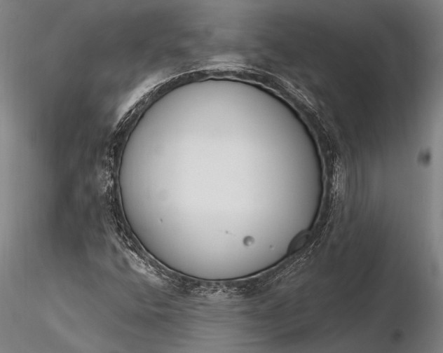 X0000116381400200912161450