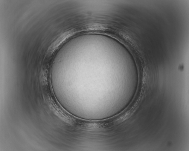 X0000116381401200912161450