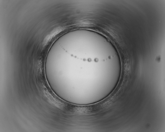X0000116381402200912161450