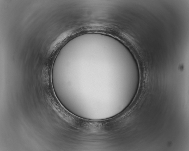 X0000116381403200912161450