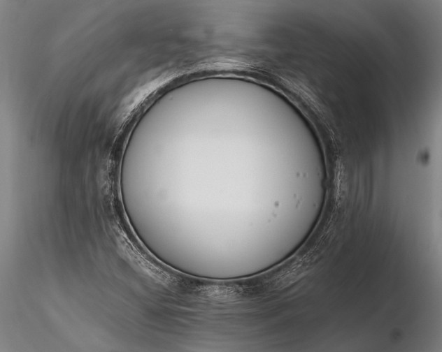 X0000116381404200912161450