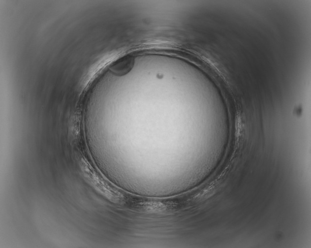 X0000116381405200912161450