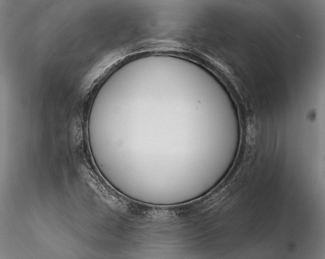 X0000116381407200912161450