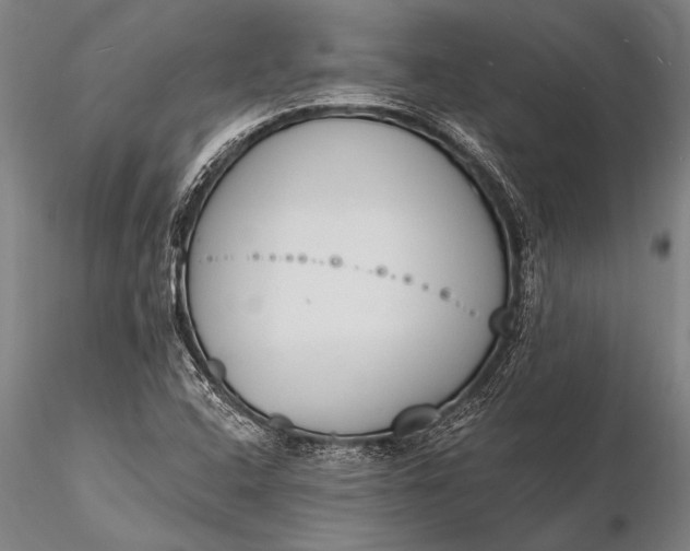 X0000116381408200912161450