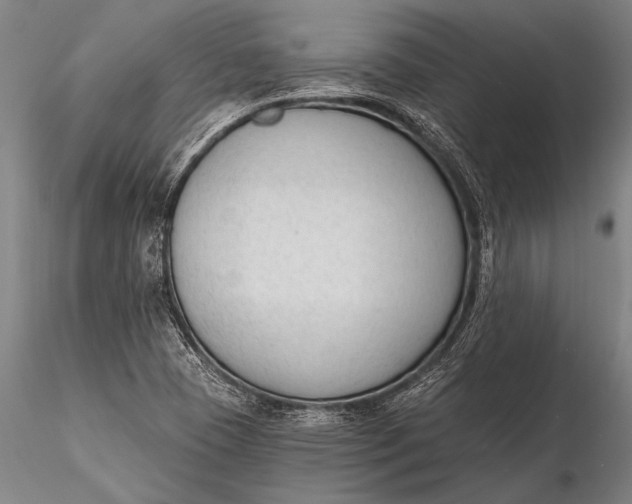 X0000116381409200912161450