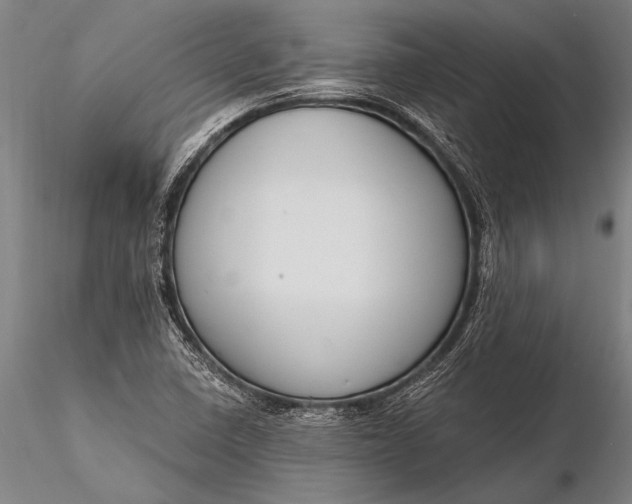 X0000116381410200912161450
