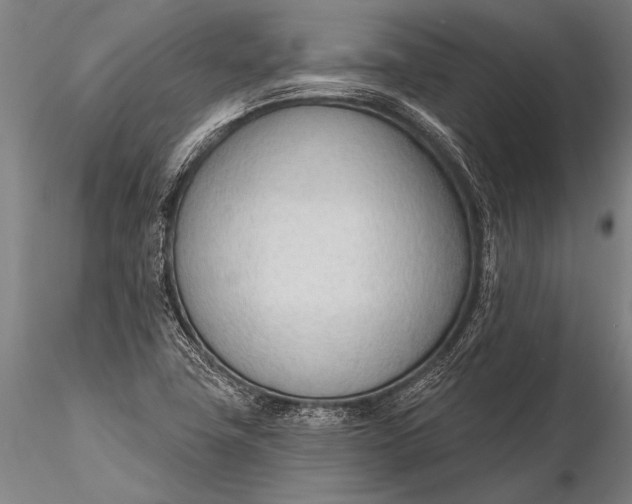 X0000116381411200912161450