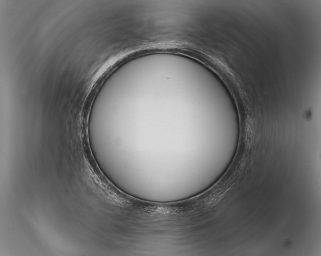 X0000116381412200912161450