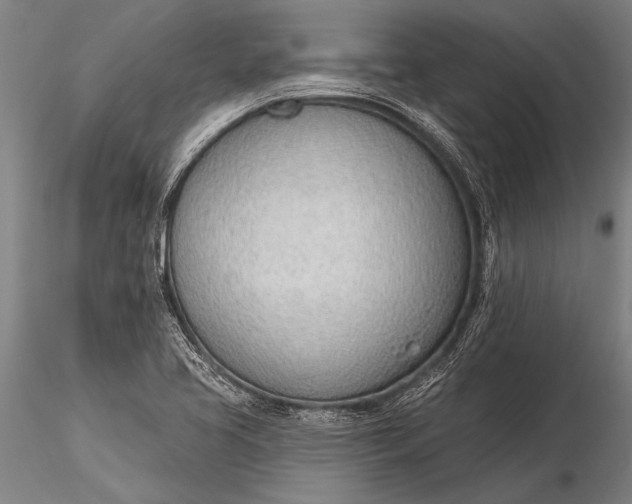 X0000116381413200912161450