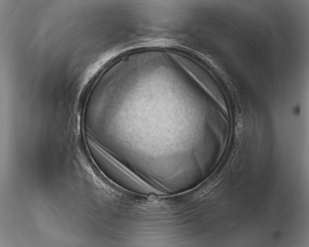 X0000116381414200912161450