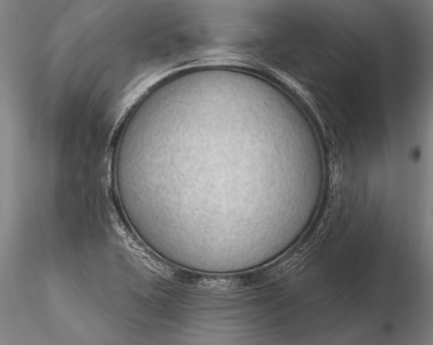 X0000116381415200912161450