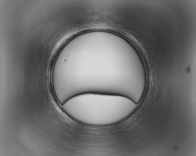 X0000116381416200912161450