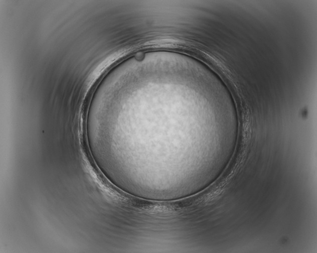 X0000116381418200912161450
