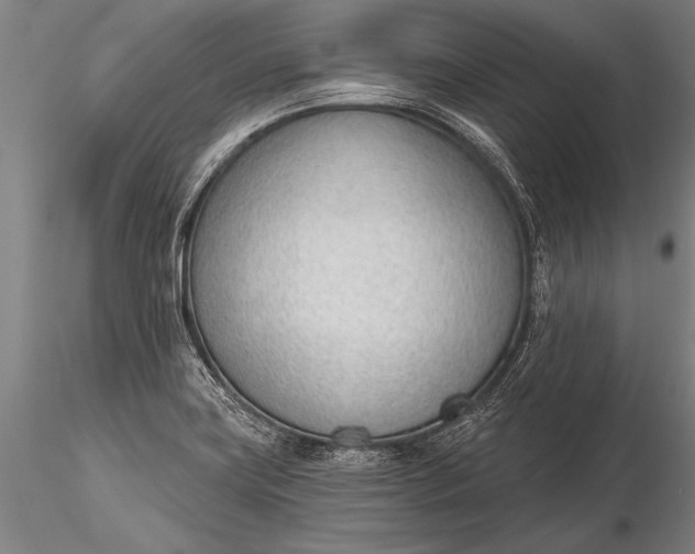 X0000116381419200912161450