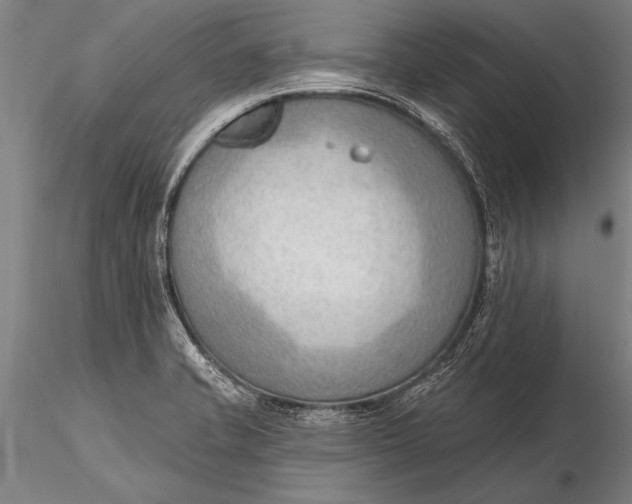 X0000116381421200912161450