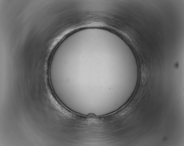 X0000116381422200912161450