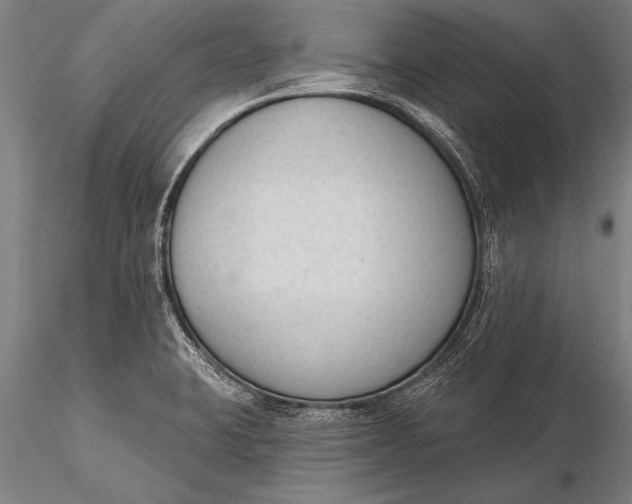 X0000116381423200912161450