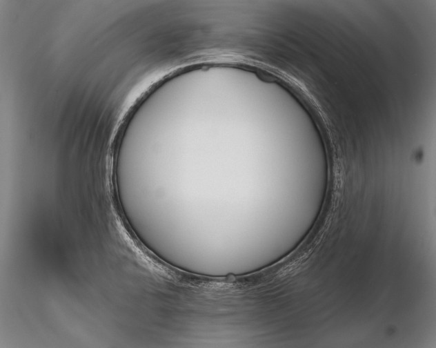 X0000116381424200912161450