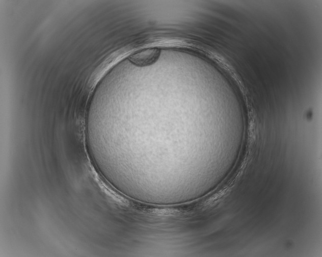 X0000116381425200912161450