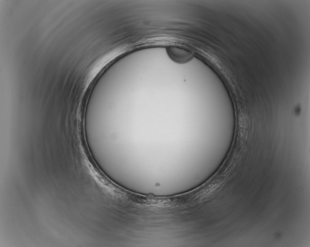 X0000116381426200912161450