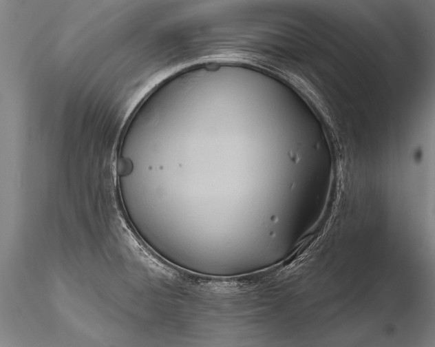 X0000116381428200912161450