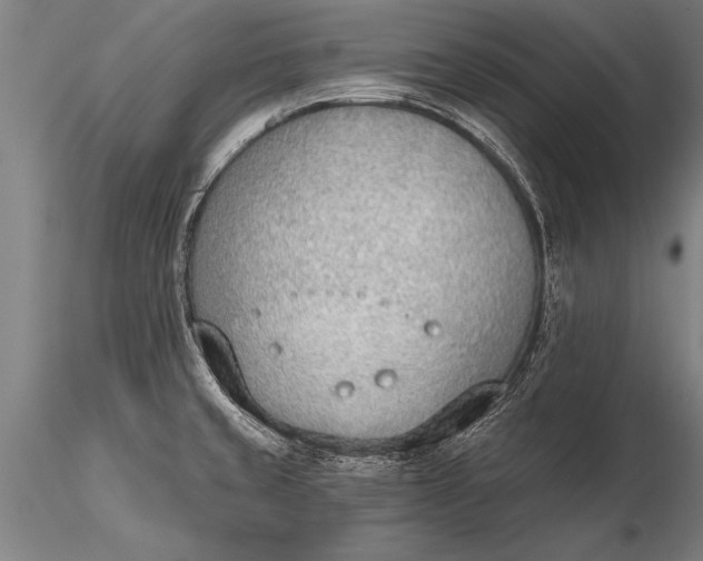 X0000116381429200912161450