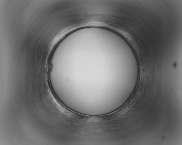 X0000116381430200912161450