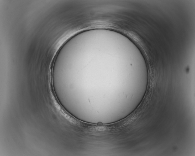 X0000116381431200912161451