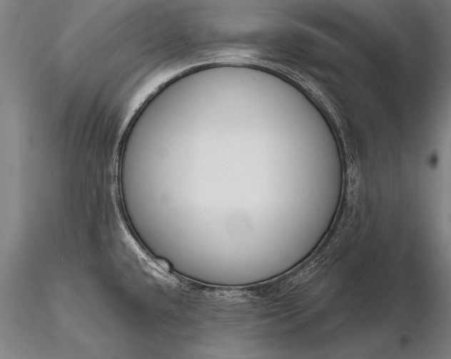 X0000116381432200912161451