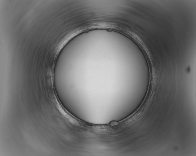 X0000116381433200912161451