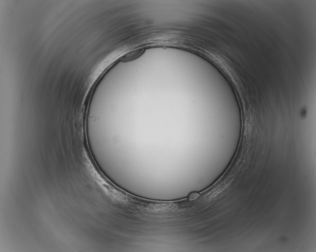 X0000116381434200912161451