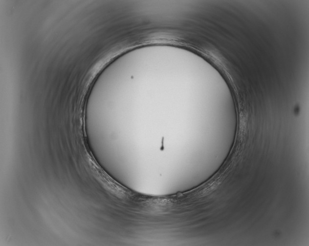 X0000116381435200912161451