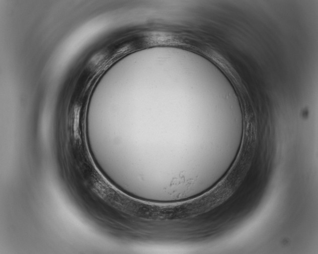 X0000116381439200912161451