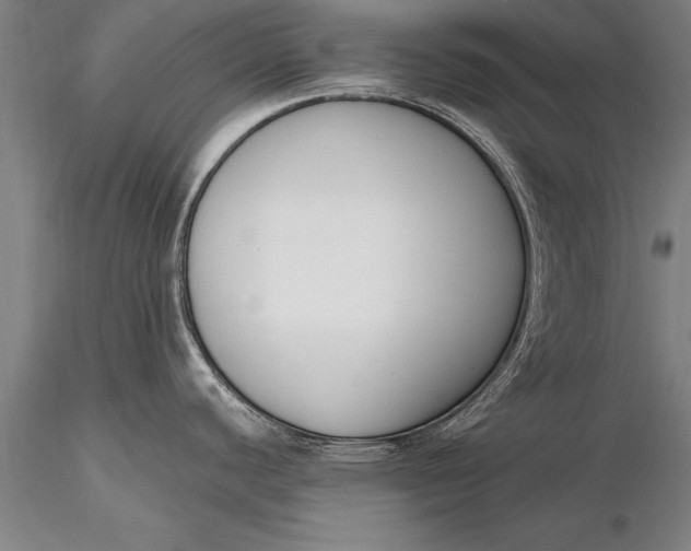 X0000116381440200912161451