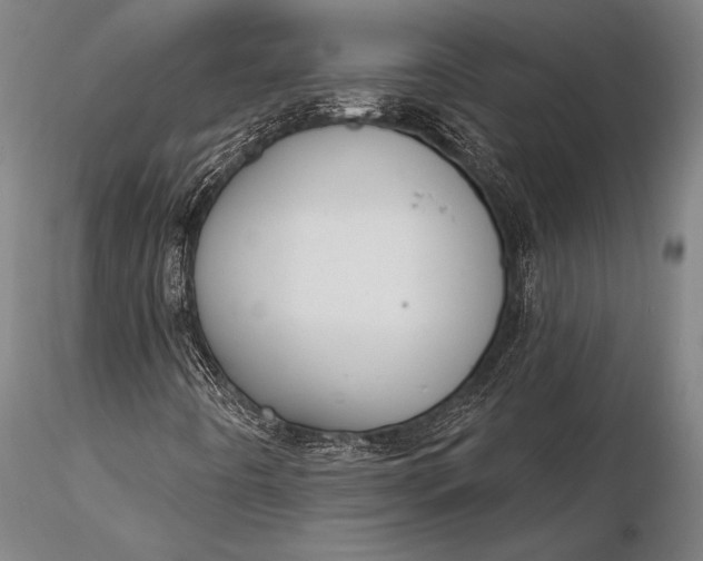 X0000116381442200912161450
