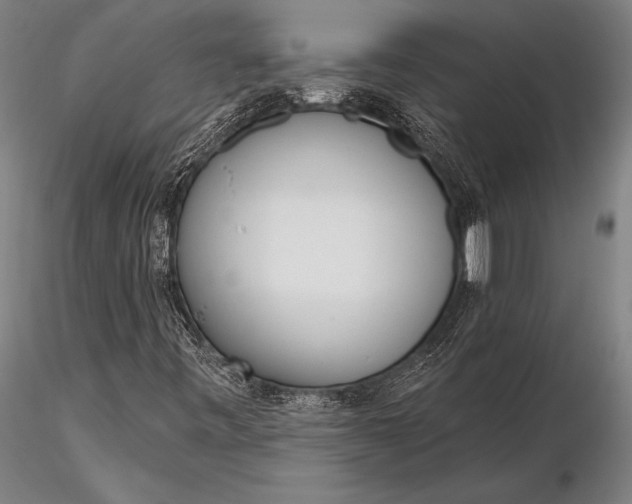 X0000116381443200912161450