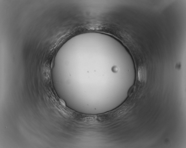 X0000116381444200912161450