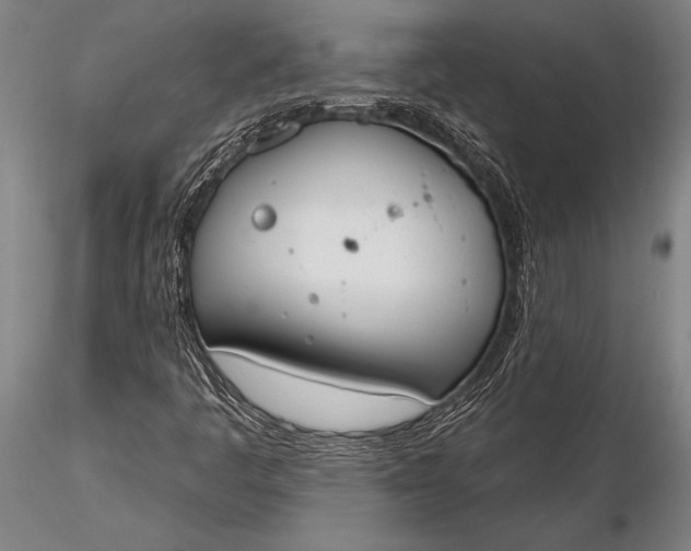 X0000116381445200912161450