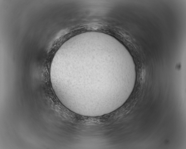 X0000116381446200912161450