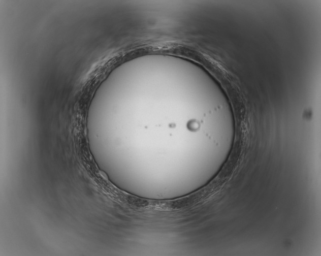 X0000116381447200912161450