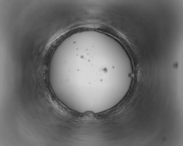 X0000116381448200912161450