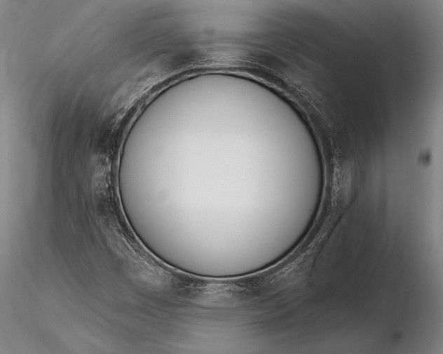 X0000116381449200912161450