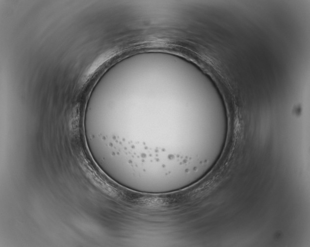 X0000116381450200912161450