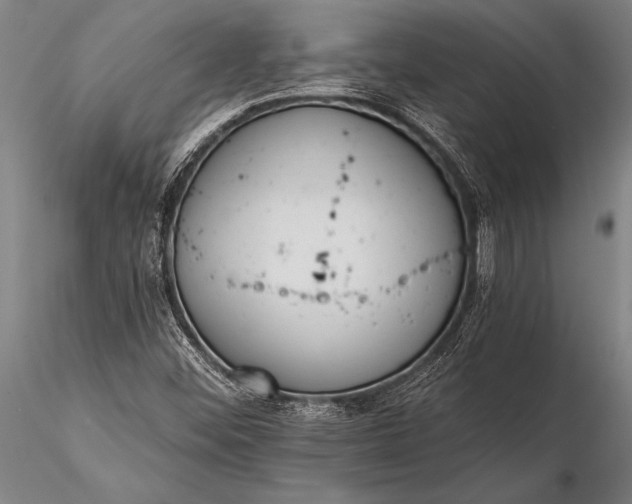 X0000116381452200912161450