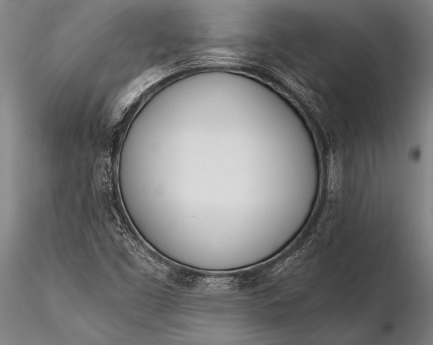 X0000116381453200912161450
