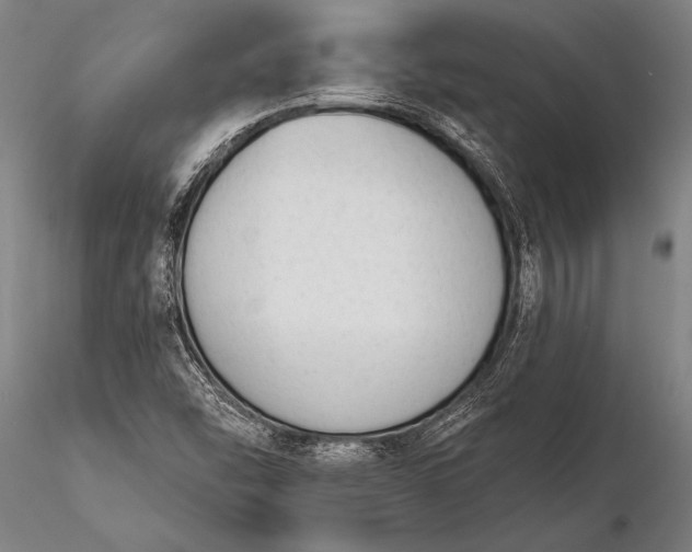 X0000116381454200912161450