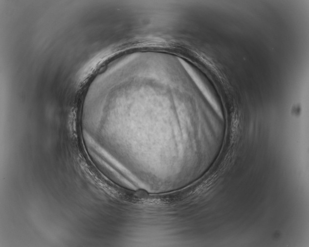 X0000116381455200912161450