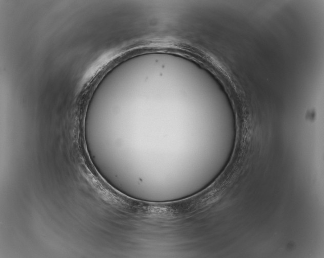 X0000116381456200912161450