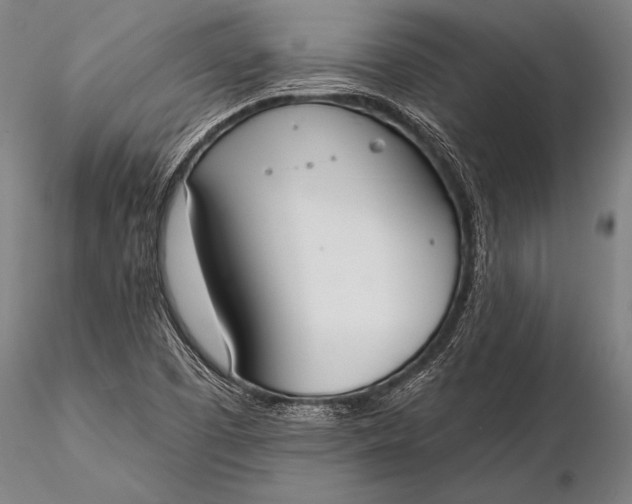 X0000116381457200912161450