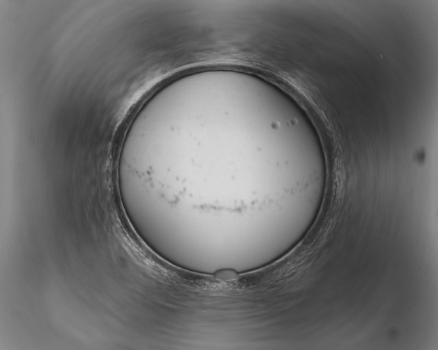 X0000116381460200912161450